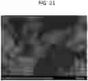 Fig. 22 - INHALABLE DRY POWDER FORMULATIONS COMPRISING ANGIOGENESIS INHIBITORS