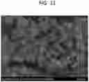 Fig. 32 - INHALABLE DRY POWDER FORMULATIONS COMPRISING ANGIOGENESIS INHIBITORS