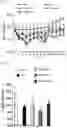 Fig. 02 - Composition comprising bornyl acetate or pharmaceutically acceptable salt thereof as active ingredient for prevention or treatment of stress-related disorder