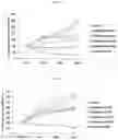 Fig. 02 - PHARMACEUTICAL COMPOSITION FOR TREATING CANCER AND SUPPRESSING METASTASIS, CONTAINING SULFONAMIDE-BASED COMPOUND AS ACTIVE INGREDIENT