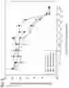 Fig. 11 - Methods for treating plasma cell neoplasm with human therapeutic agents