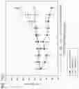 Fig. 17 - Methods for treating plasma cell neoplasm with human therapeutic agents