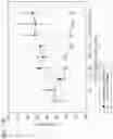Fig. 21 - Methods for treating plasma cell neoplasm with human therapeutic agents