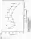 Fig. 28 - Methods for treating plasma cell neoplasm with human therapeutic agents