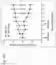 Fig. 35 - Methods for treating plasma cell neoplasm with human therapeutic agents