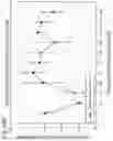 Fig. 71 - Methods for treating plasma cell neoplasm with human therapeutic agents