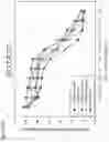 Fig. 95 - Methods for treating plasma cell neoplasm with human therapeutic agents