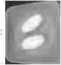 Fig. 11 - Formulations of hydroxypyridonate actinide/lanthanide decorporation agents
