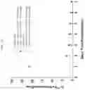 Fig. 13 - Formulations of hydroxypyridonate actinide/lanthanide decorporation agents