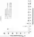 Fig. 16 - Formulations of hydroxypyridonate actinide/lanthanide decorporation agents