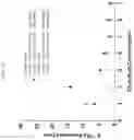 Fig. 22 - Formulations of hydroxypyridonate actinide/lanthanide decorporation agents