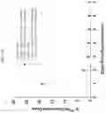 Fig. 23 - Formulations of hydroxypyridonate actinide/lanthanide decorporation agents