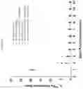 Fig. 26 - Formulations of hydroxypyridonate actinide/lanthanide decorporation agents