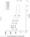 Fig. 42 - Formulations of hydroxypyridonate actinide/lanthanide decorporation agents