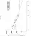 Fig. 43 - Formulations of hydroxypyridonate actinide/lanthanide decorporation agents