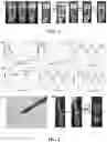 Fig. 02 - Injectable bifunctional hydrogel with antibacterial activity as well as the preparative method and the use thereof