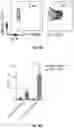 Fig. 35 - COMBINATION IMMUNOREGULATION AND USES THEREOF