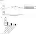 Fig. 07 - CYCLODEXTRIN DERIVATIVES REDUCING FLAVIVIRUS NS1-INDUCED ENDOTHELIAL HYPERPERMEABILITY AND VASCULAR LEAK