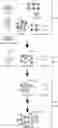 Fig. 01 - EXPANSION OF NATURAL KILLER AND CHIMERIC ANTIGEN RECEPTOR-MODIFIED CELLS