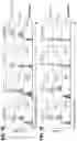 Fig. 04 - EXPANSION OF NATURAL KILLER AND CHIMERIC ANTIGEN RECEPTOR-MODIFIED CELLS
