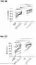 Fig. 07 - EXPANSION OF NATURAL KILLER AND CHIMERIC ANTIGEN RECEPTOR-MODIFIED CELLS