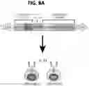Fig. 28 - EXPANSION OF NATURAL KILLER AND CHIMERIC ANTIGEN RECEPTOR-MODIFIED CELLS