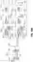 Fig. 31 - EXPANSION OF NATURAL KILLER AND CHIMERIC ANTIGEN RECEPTOR-MODIFIED CELLS