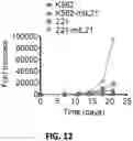 Fig. 36 - EXPANSION OF NATURAL KILLER AND CHIMERIC ANTIGEN RECEPTOR-MODIFIED CELLS