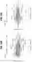 Fig. 38 - EXPANSION OF NATURAL KILLER AND CHIMERIC ANTIGEN RECEPTOR-MODIFIED CELLS