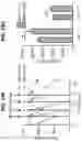 Fig. 40 - EXPANSION OF NATURAL KILLER AND CHIMERIC ANTIGEN RECEPTOR-MODIFIED CELLS
