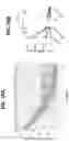 Fig. 46 - EXPANSION OF NATURAL KILLER AND CHIMERIC ANTIGEN RECEPTOR-MODIFIED CELLS