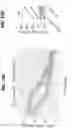 Fig. 52 - EXPANSION OF NATURAL KILLER AND CHIMERIC ANTIGEN RECEPTOR-MODIFIED CELLS