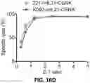 Fig. 56 - EXPANSION OF NATURAL KILLER AND CHIMERIC ANTIGEN RECEPTOR-MODIFIED CELLS