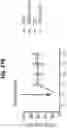Fig. 58 - EXPANSION OF NATURAL KILLER AND CHIMERIC ANTIGEN RECEPTOR-MODIFIED CELLS