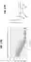 Fig. 61 - EXPANSION OF NATURAL KILLER AND CHIMERIC ANTIGEN RECEPTOR-MODIFIED CELLS