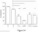 Fig. 05 - MUC1 PARALLEL CAR (pCAR) THERAPEUTIC AGENTS