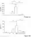 Fig. 07 - MUC1 PARALLEL CAR (pCAR) THERAPEUTIC AGENTS