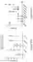 Fig. 20 - MUC1 PARALLEL CAR (pCAR) THERAPEUTIC AGENTS
