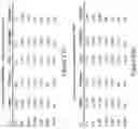 Fig. 31 - MUC1 PARALLEL CAR (pCAR) THERAPEUTIC AGENTS