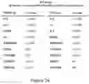 Fig. 32 - MUC1 PARALLEL CAR (pCAR) THERAPEUTIC AGENTS