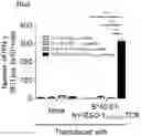 Fig. 07 - T CELL RECEPTORS AND METHODS OF USE THEREOF