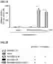 Fig. 08 - T CELL RECEPTORS AND METHODS OF USE THEREOF