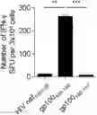 Fig. 01 - T CELL RECEPTORS AND METHODS OF USE THEREOF