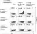 Fig. 05 - T CELL RECEPTORS AND METHODS OF USE THEREOF