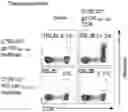 Fig. 06 - T CELL RECEPTORS AND METHODS OF USE THEREOF