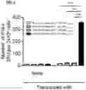 Fig. 07 - T CELL RECEPTORS AND METHODS OF USE THEREOF