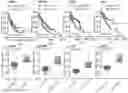 Fig. 01 - CD147 CHIMERIC ANTIGEN RECEPTORS AND METHODS OF USE