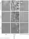 Fig. 04 - CD147 CHIMERIC ANTIGEN RECEPTORS AND METHODS OF USE