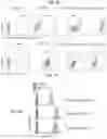 Fig. 07 - CD147 CHIMERIC ANTIGEN RECEPTORS AND METHODS OF USE