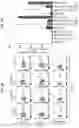 Fig. 08 - CD147 CHIMERIC ANTIGEN RECEPTORS AND METHODS OF USE